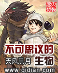 和空姐荒岛求生的岁月