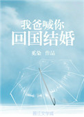 雪中悍刀行多少集