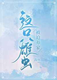 完美告白2024全集目录