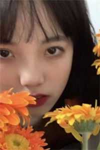 最红尘小说第70章在线阅读无弹窗