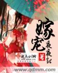唐伯虎之冲上云霄