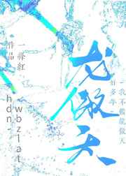 电视剧当家主母多少集