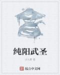 探索者的羽翼未删减版