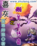 老司机中文网