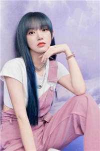 倒插门