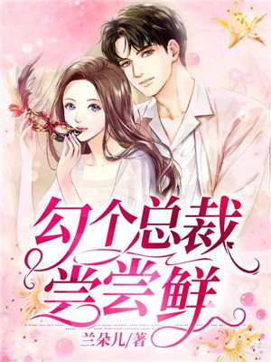 袁腾飞两宋风云
