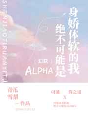 看不见的客人百度网盘