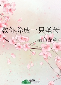 主播琪琪百度云