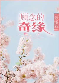 倾城别传