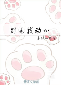 追龙2粤语在线粤语天堂