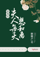 大家好我叫小莫mp3