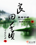 青春禁区小说