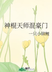 性细节描写清楚的小说