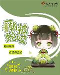 开心四房