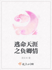 秦腔板胡