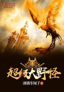 网络高清播放器