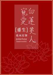 意外有了皇帝的孩子