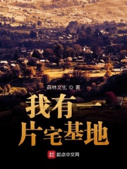 盛世嫡妃有声小说