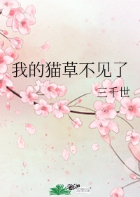 2024天堂网免费观看
