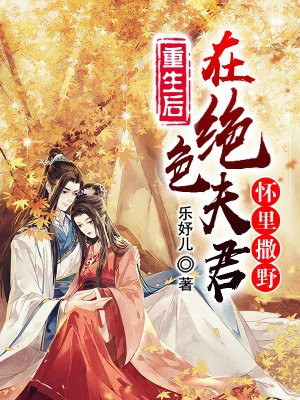 少年大宝风流
