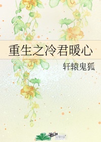 蝴蝶影院污