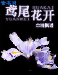 桃色天使未删减bd在线播放