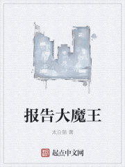 我的娇妻许