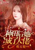 鸣鸟不飞2