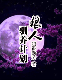 赤裸特工