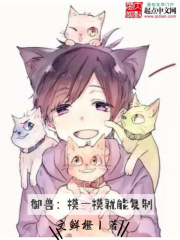 狼视频app下载地址