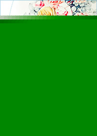 513热点网gif