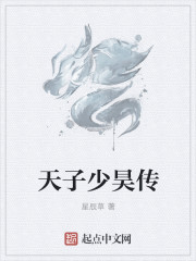 中国理论片