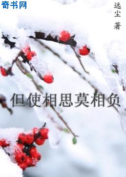 隐形的亿万富翁国语版完整版
