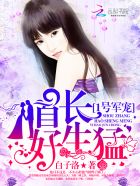 猪先生