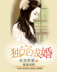 恰似故人归小说