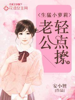 寻秦记小说下载