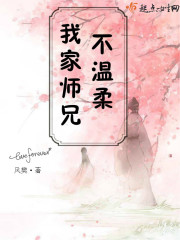磁力视频
