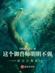 名侦探柯南m26