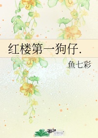 纸飞机肉全