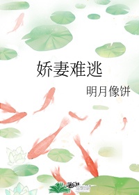 h文一对一