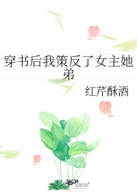 美国性完整版在线电影