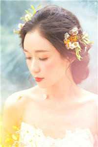 迅捷祖利安黑豹