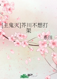 苍井空全集