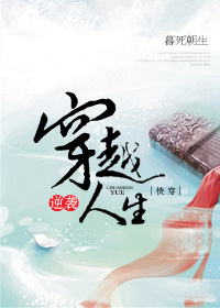 手机sss视频观看整片