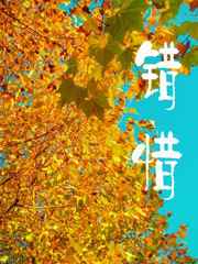 花卉市场