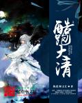 靖康之耻一洗衣院小说