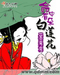五月婷婷视频在线
