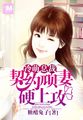东北黑帮小说