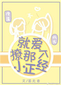 免费100视频在线播放器