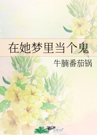 娜可露露h
